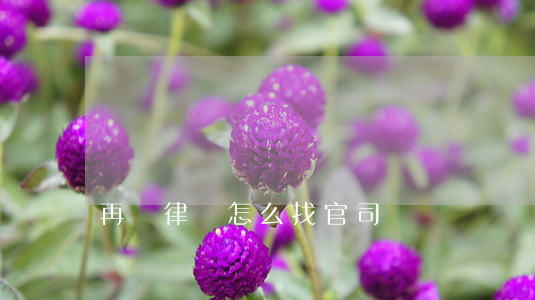 再審律師怎么找官司