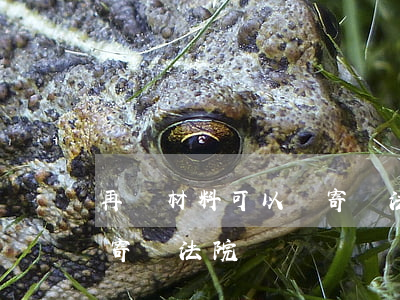 再審材料可以郵寄給法院嗎(再審材料可以郵寄給法院嗎)