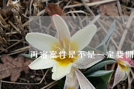 再審案件是不是一定要開庭