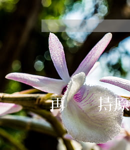 再審維持原判如何執(zhí)行