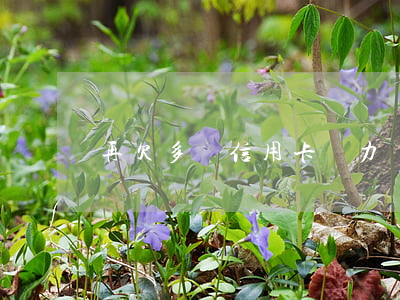 再欠多張信用卡無力償還怎么辦-