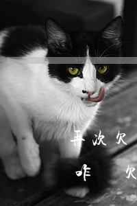 再次欠網(wǎng)貸25萬(wàn)咋辦(欠網(wǎng)貸35萬(wàn))