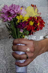 再次逾期怎么辦信用卡(再次逾期怎么辦信用卡)