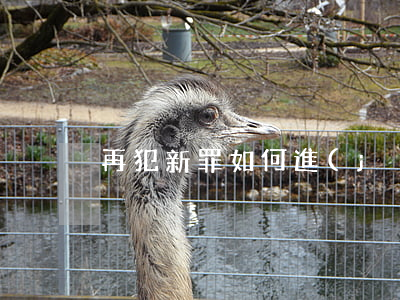 再犯新罪如何進(jìn)行并罰