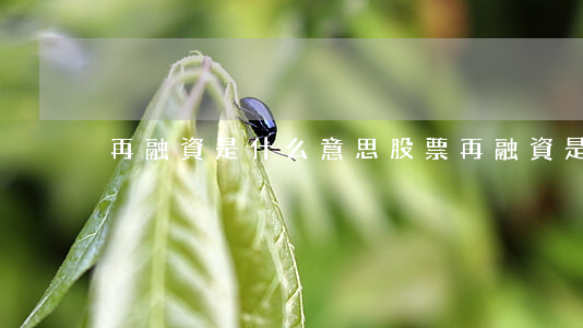 再融資是什么意思(股票再融資是什么意思)