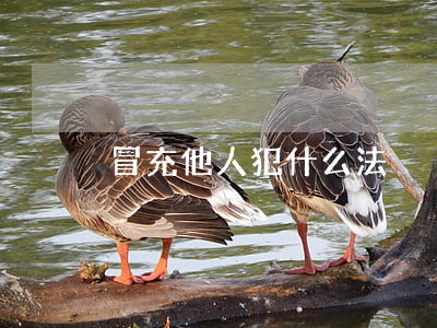 冒充他人犯什么法