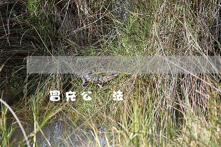 冒充公檢法詐騙