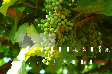 冒充律師詐騙怎么辦(冒充律師代理案件構(gòu)成詐騙嗎)