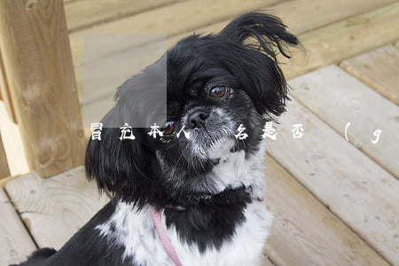 冒充本人簽名是否構(gòu)成表見代理