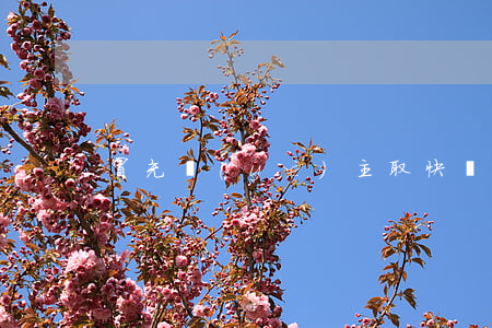 冒充業(yè)主取快遞，冒充快遞上門取件