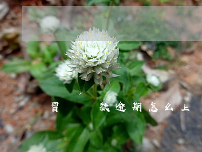 冒辦貸款逾期怎么上訴(貸款逾期起訴)