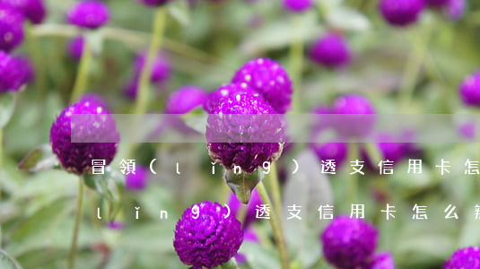 冒領(lǐng)透支信用卡怎么辦(冒領(lǐng)透支信用卡怎么辦)