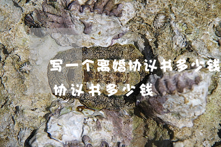 写一个离婚协议书多少钱(请律师写一份离婚协议书多少钱)