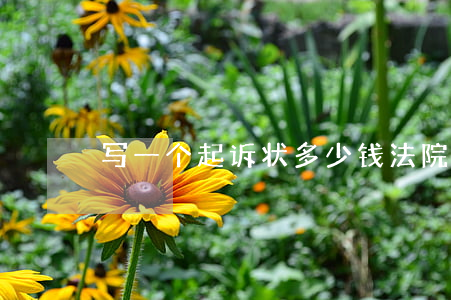 写一个起诉状多少钱(法院写诉讼状多少钱)