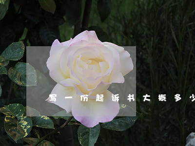 写一份起诉书大概多少钱