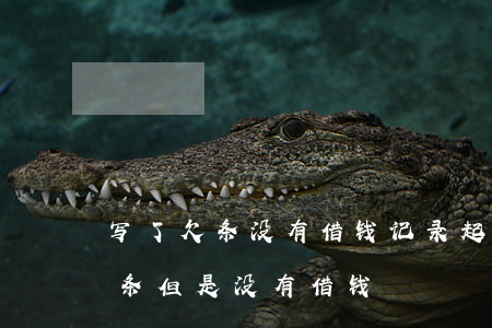 写了欠条没有借钱记录起诉能赢吗-写了欠条但是没有借钱