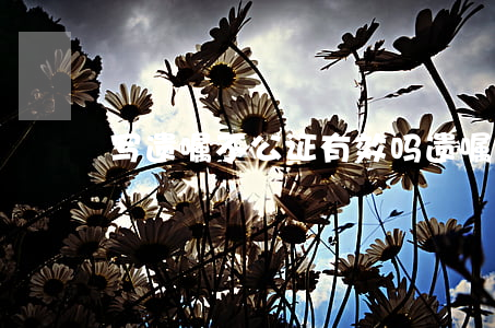 写遗嘱不公证有效吗(遗嘱用不用公证)