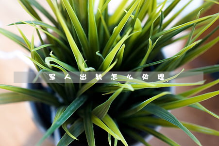 军人出轨怎么处理