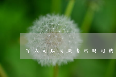 军人可以司法考试吗(司法考试对于军官转业)