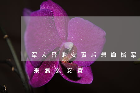军人异地安置后想离婚(军人异地入伍退伍回来怎么安置)