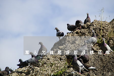 军人欠钱起诉后没钱还 军嫂起诉欠钱不还的人