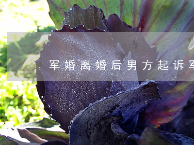 军婚离婚后男方起诉(军婚可以起诉离婚吗?)