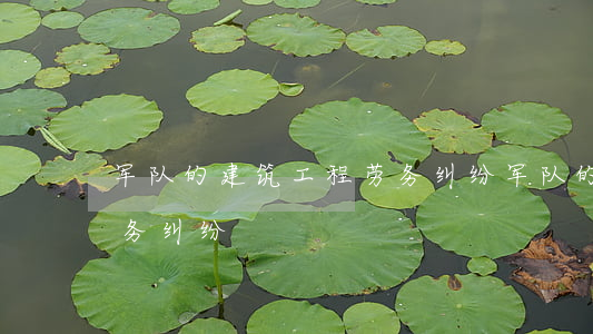 军队的建筑工程劳务纠纷(军队的建筑工程劳务纠纷)