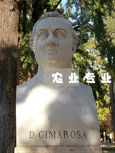 农业专业合作社(农业专业合作社要交税吗)