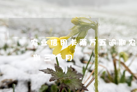 农业信用卡两万五逾期(农行信用卡2万五逾期三个月)