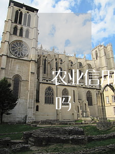 农业信用卡利息最低吗（农业信用卡利息最低吗）