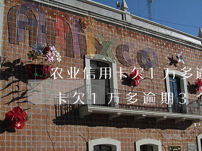 农业信用卡欠1万多逾期3个月-农业信用卡欠1万多逾期3个月会怎样