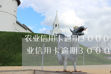 农业信用卡逾期3000元有什么后果-农业信用卡逾期3000元有什么后果吗