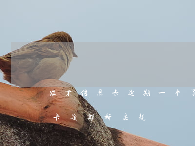 农业信用卡逾期一年了 2021年农行信用卡逾期新法规