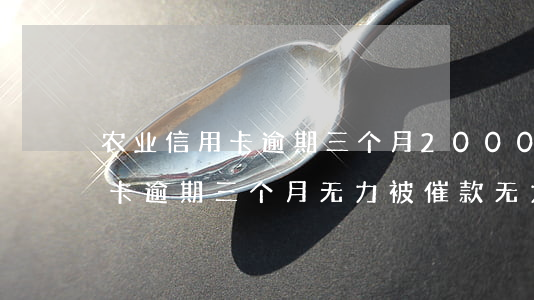 农业信用卡逾期三个月2000-农业信用卡逾期三个月无力被催款无力偿还全款怎么办