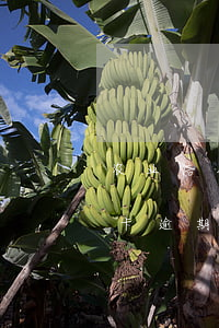 农业信用卡逾期两月还可以用吗-农业信用卡逾期两月还可以用吗现在