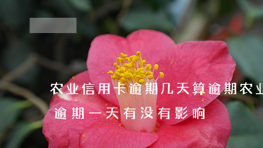 农业信用卡逾期几天算逾期(农业银行信用卡逾期一天有没有影响?)