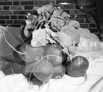 农业信用卡逾期利息怎么算出来的-农业信用卡逾期利息怎么算出来的呢