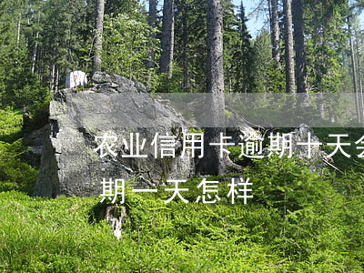 农业信用卡逾期十天会怎么样(农业信用币逾期一天怎样)
