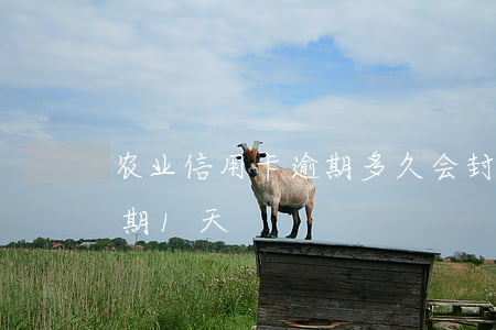 农业信用卡逾期多久会封卡(农信社信用卡逾期1天)