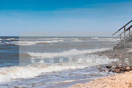 农业信用卡逾期还不起(农业信用卡逾期还不起)
