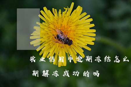 农业信用币逾期冻结怎么解冻（农业信用卡逾期解冻成功的吗）