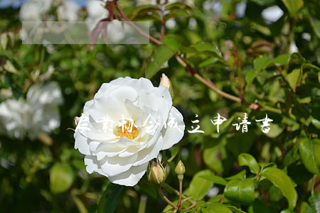 农业协会成立申请书