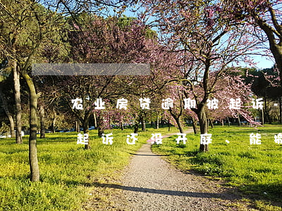 农业房贷逾期被起诉-农业银行房贷逾期被起诉还没开庭、能撤诉吗?