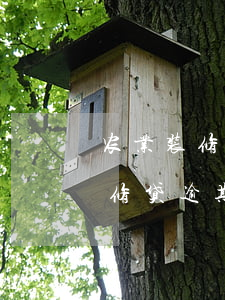 农业装修贷逾期41天会被起诉吗-农业装修贷逾期41天会被起诉吗知乎