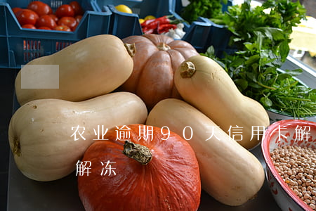 农业逾期90天信用卡解冻(农行信用卡2天解冻)