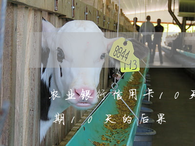 农业银行信用卡10天了（农业银行信用卡逾期10天的后果）