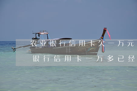农业银行信用卡欠一万元怎么量刑-欠农业银行信用卡一万多已经一年多了