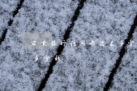 农业银行信用卡透支多少(农行金卡可以透支多少钱)