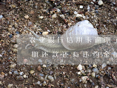 农业银行信用卡逾期了怎么还款(农业银行逾期还款还有违约金能要回来吗?)