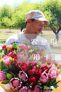 农业银行信用卡逾期了还能批复吗-农行信用卡 逾期一天